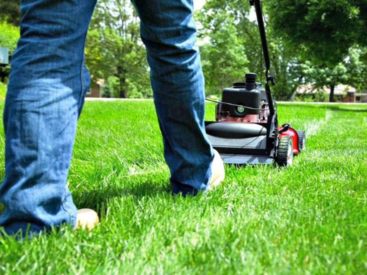 Man Disappointed In Son�s Lawn Mowing Skills Classic Dad