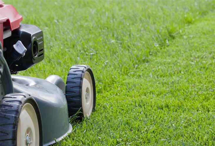 Local Dad Has Mowed Lawn 5 Times Already This Week | Classic Dad